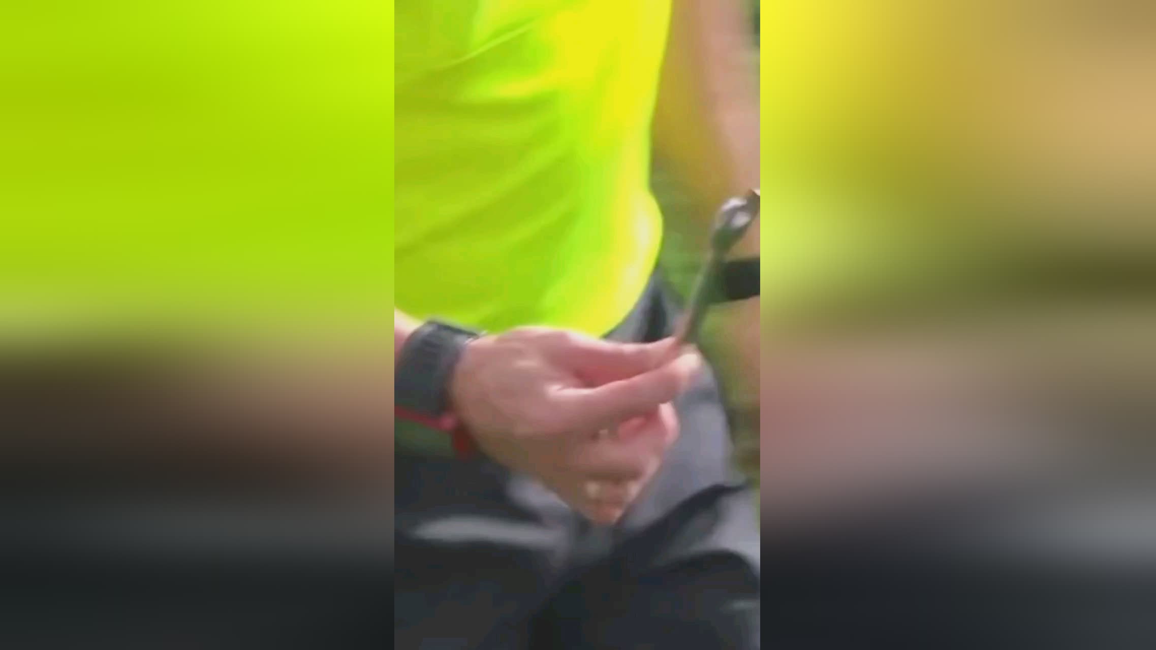 细算